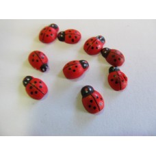 Ladybug